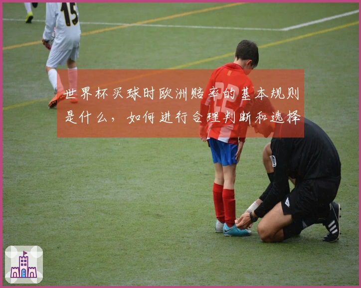 世界杯买球时欧洲赔率的基本规则是什么,如何进行合理判断和选择?