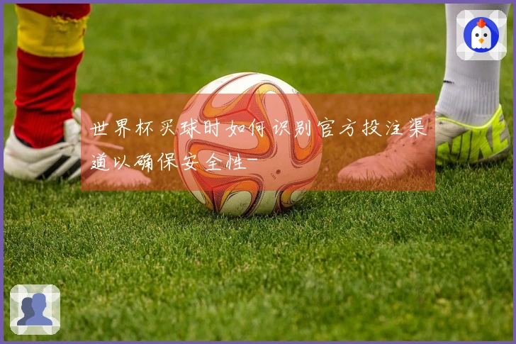 世界杯买球时如何识别官方投注渠道以确保安全性-