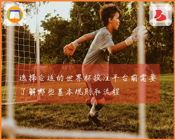 选择合适的世界杯投注平台前需要了解哪些基本规则和流程