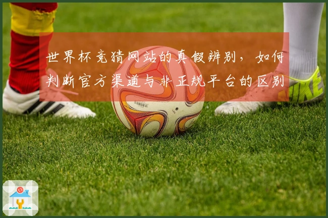 世界杯竞猜网站的真假辨别，如何判断官方渠道与非正规平台的区别