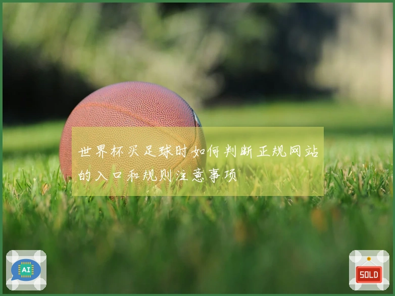 世界杯买足球时如何判断正规网站的入口和规则注意事项