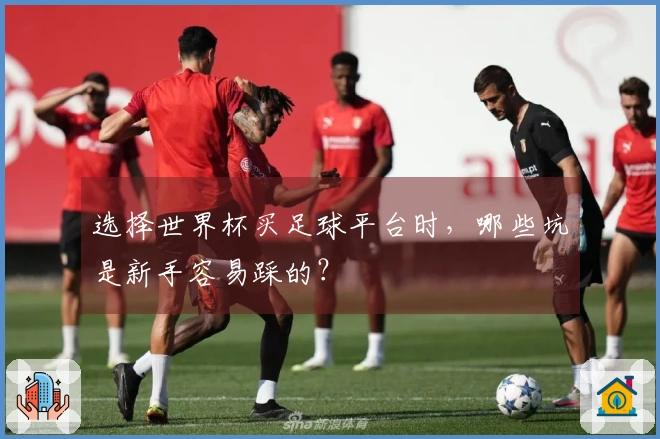选择世界杯买足球平台时，哪些坑是新手容易踩的？