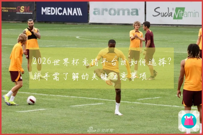 2026世界杯竞猜平台该如何选择？新手需了解的关键注意事项