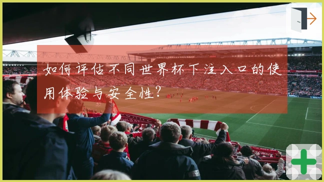 如何评估不同世界杯下注入口的使用体验与安全性？