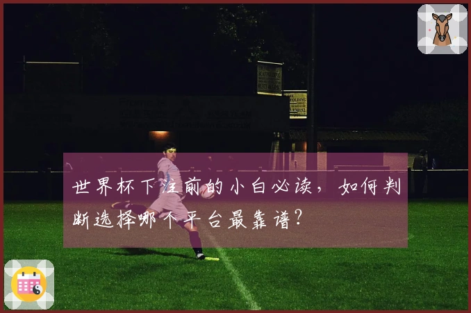 世界杯下注前的小白必读，如何判断选择哪个平台最靠谱？