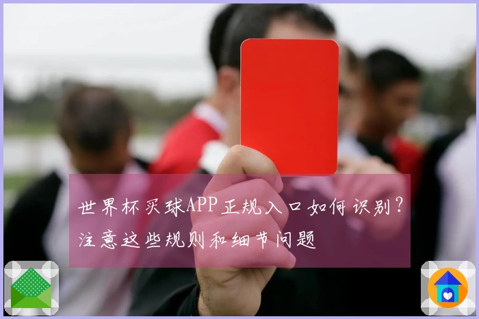 世界杯买球APP正规入口如何识别？注意这些规则和细节问题