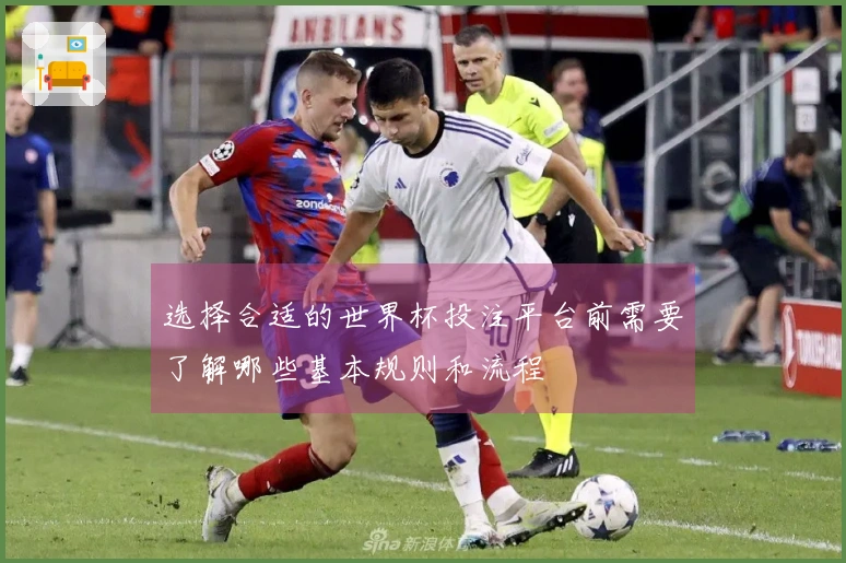 选择合适的世界杯投注平台前需要了解哪些基本规则和流程