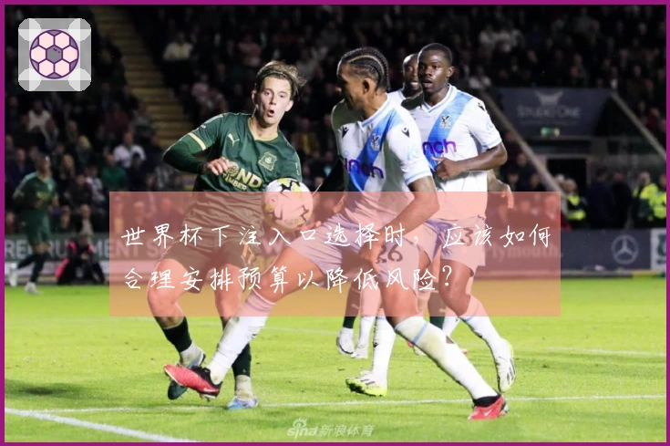 世界杯下注入口选择时，应该如何合理安排预算以降低风险？