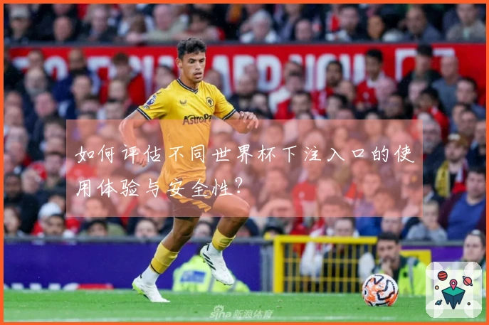 如何评估不同世界杯下注入口的使用体验与安全性?