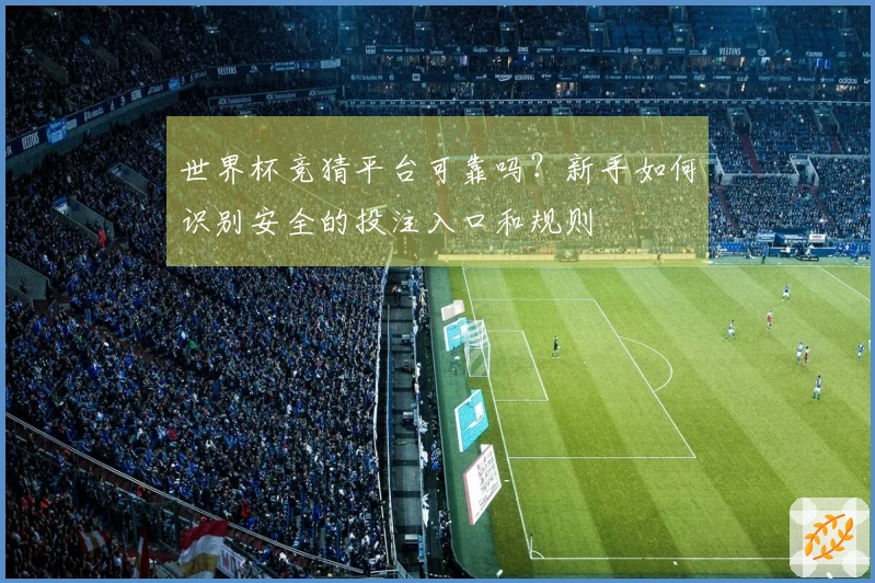 世界杯竞猜平台可靠吗？新手如何识别安全的投注入口和规则