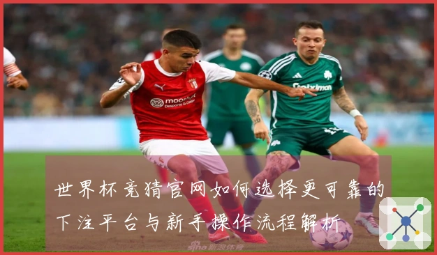世界杯竞猜官网如何选择更可靠的下注平台与新手操作流程解析