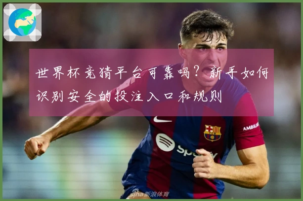 世界杯竞猜平台可靠吗?新手如何识别安全的投注入口和规则